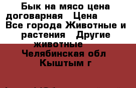 Бык на мясо цена договарная › Цена ­ 300 - Все города Животные и растения » Другие животные   . Челябинская обл.,Кыштым г.